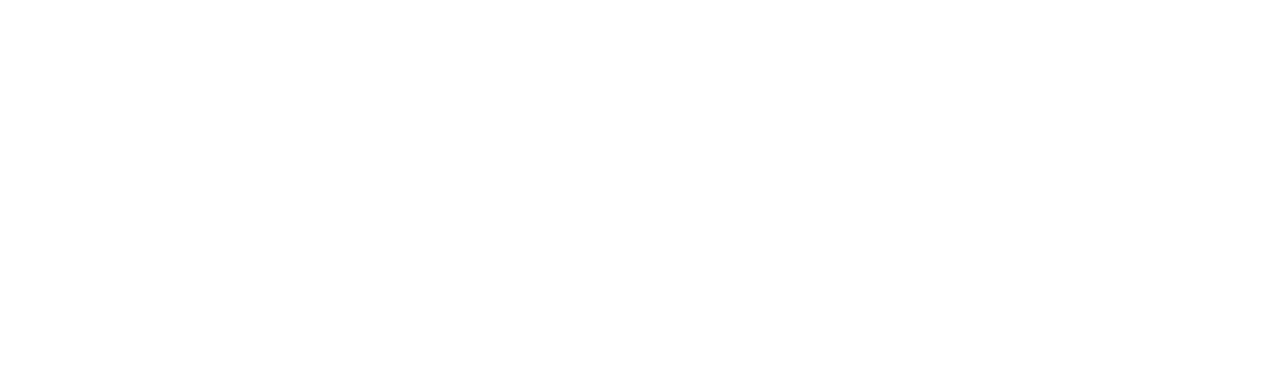 Maximo Solutions