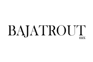 iconons web MS5